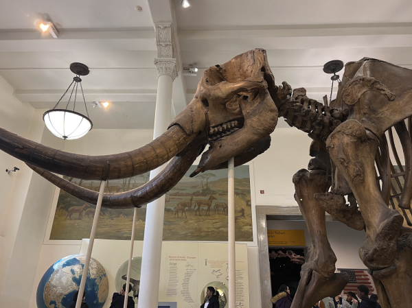 PHOTOS: Students visit the American Museum of Natural History